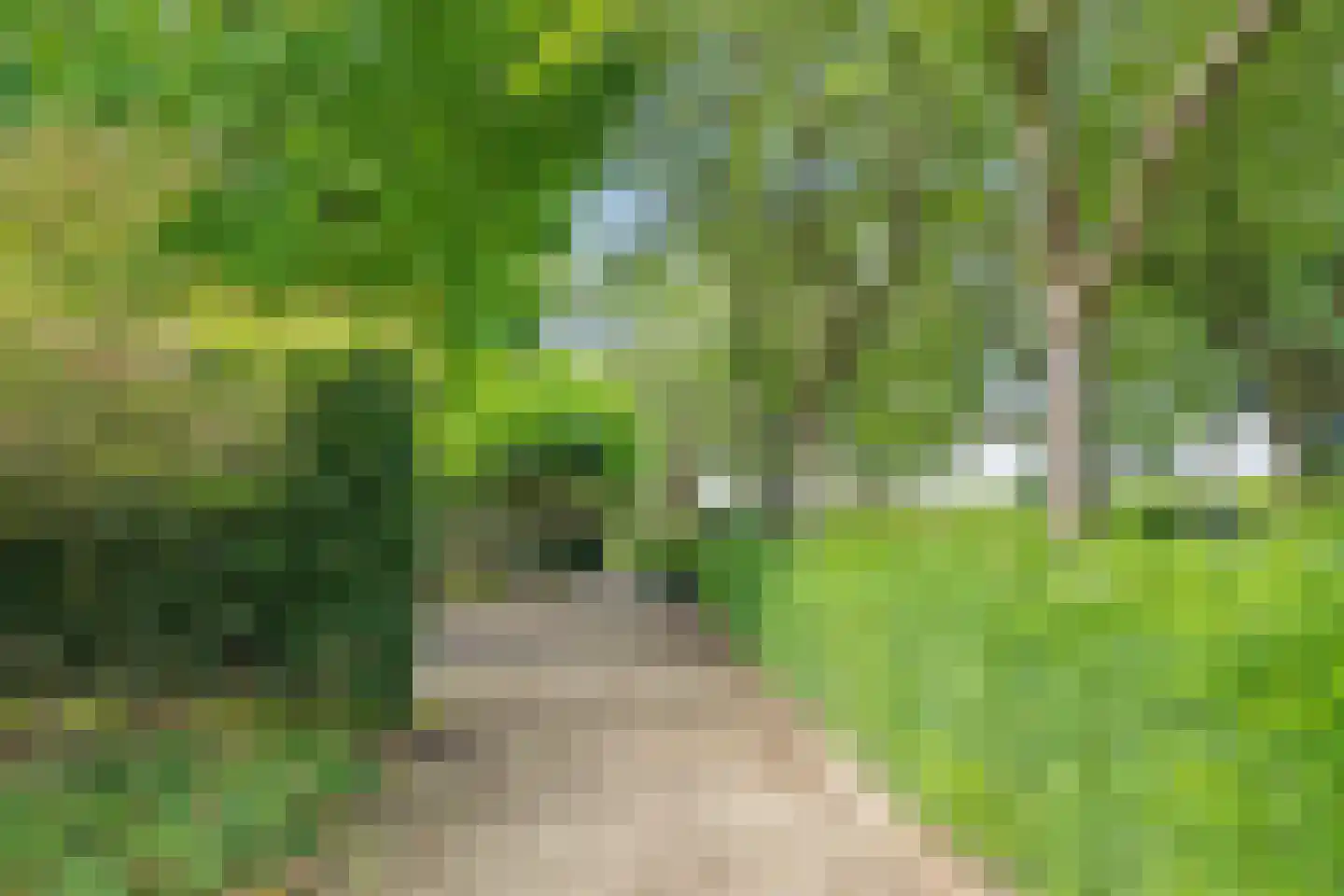 Looieind 30 Erp thumbnail 69