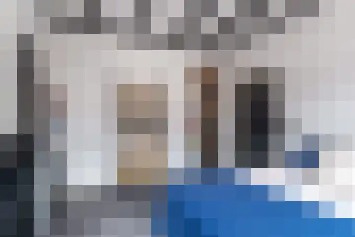 Looieind 30 Erp thumbnail 7