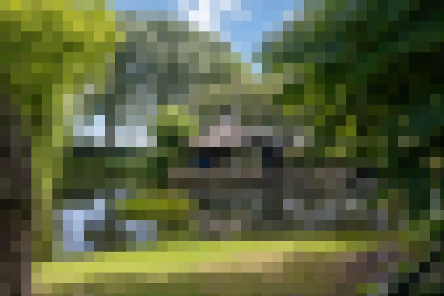 Looieind 30 Erp thumbnail 70