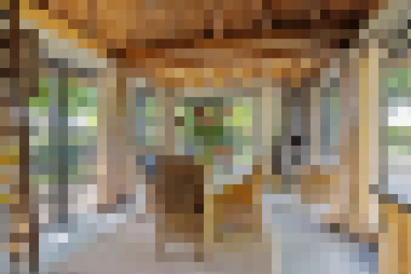 Looieind 30 Erp thumbnail 71