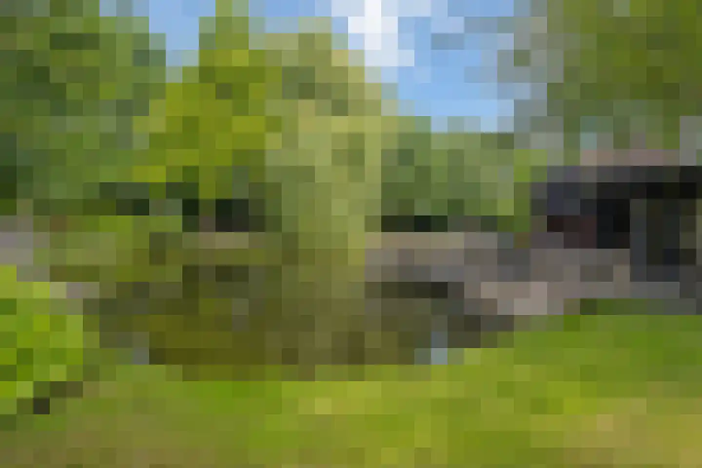 Looieind 30 Erp thumbnail 71