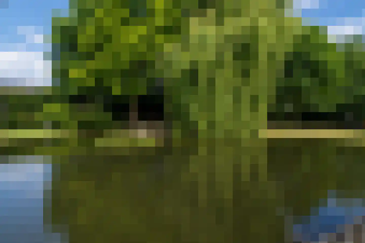 Looieind 30 Erp thumbnail 72