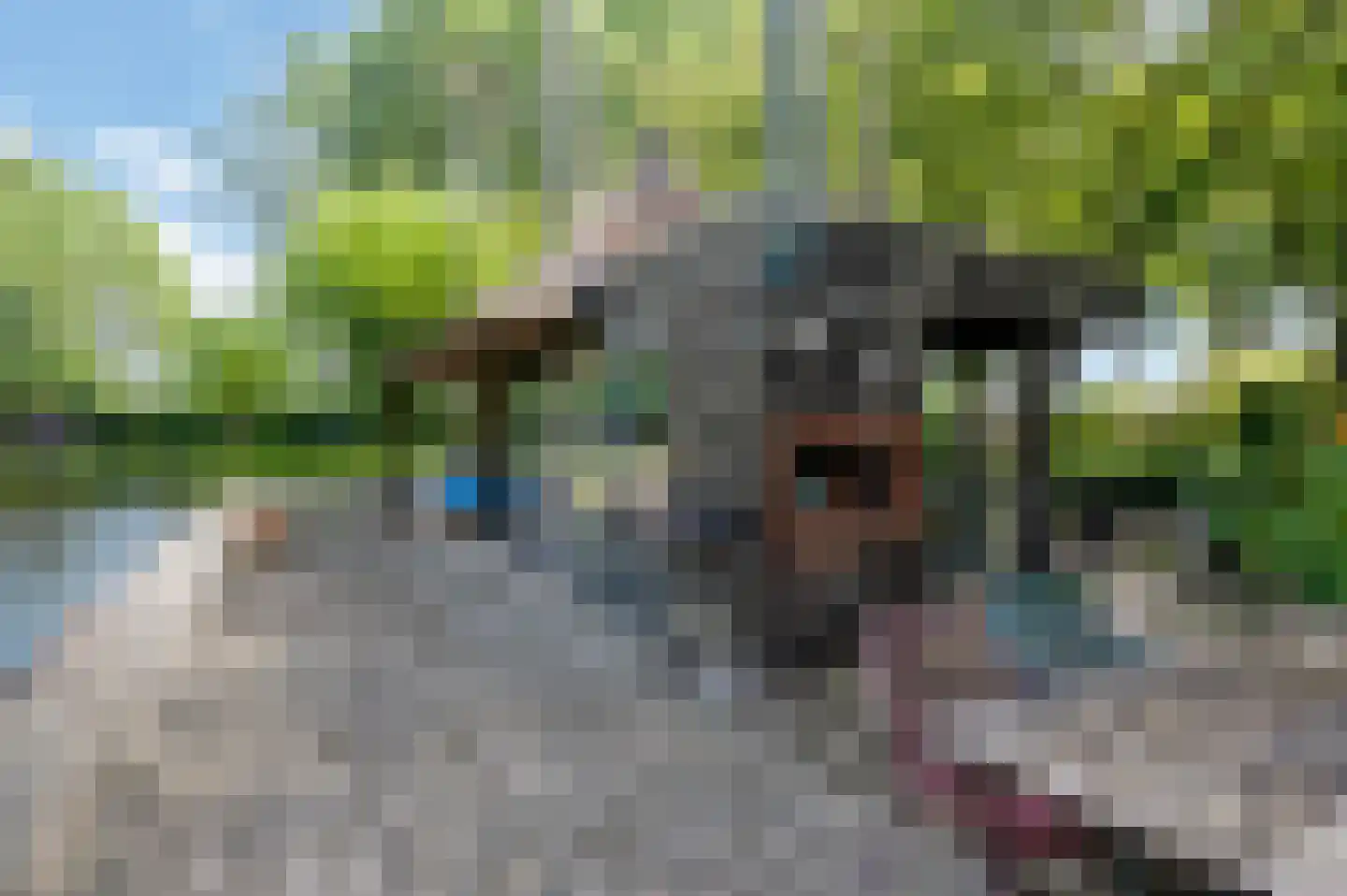 Looieind 30 Erp thumbnail 73