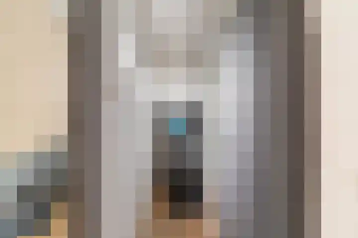 Looieind 30 Erp thumbnail 76