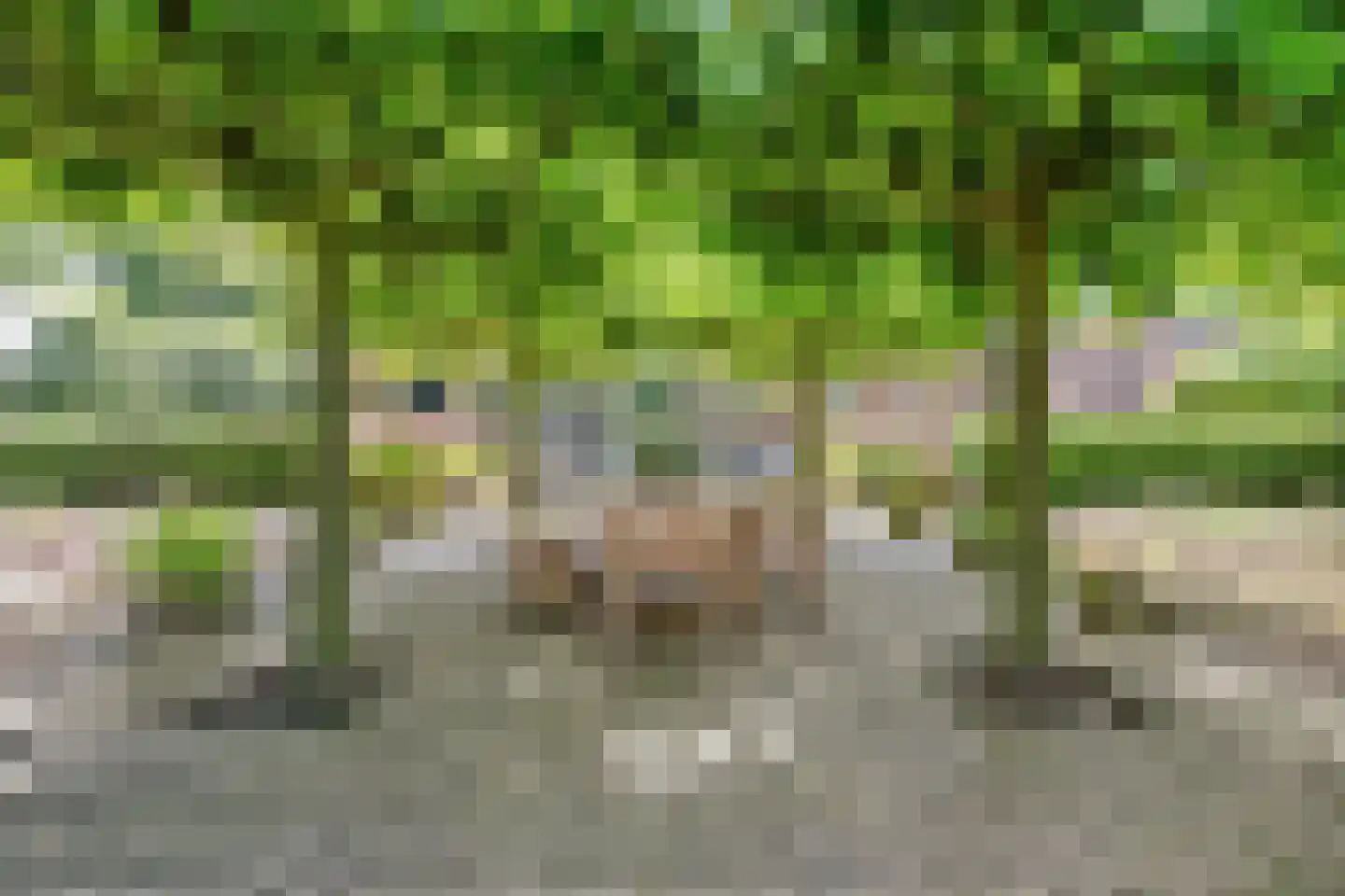 Looieind 30 Erp thumbnail 77