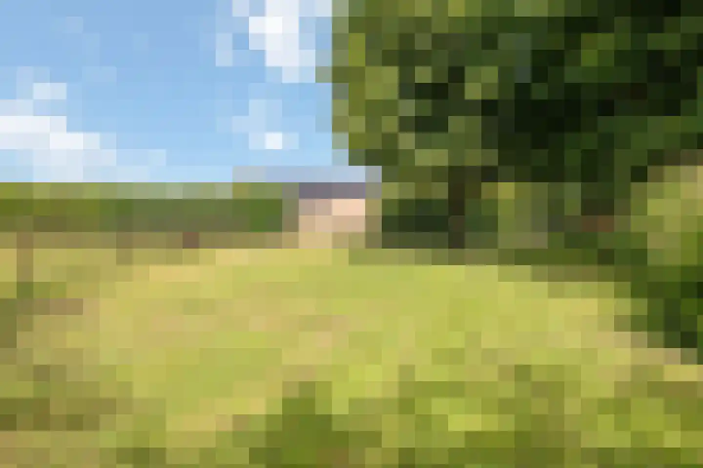 Looieind 30 Erp thumbnail 78