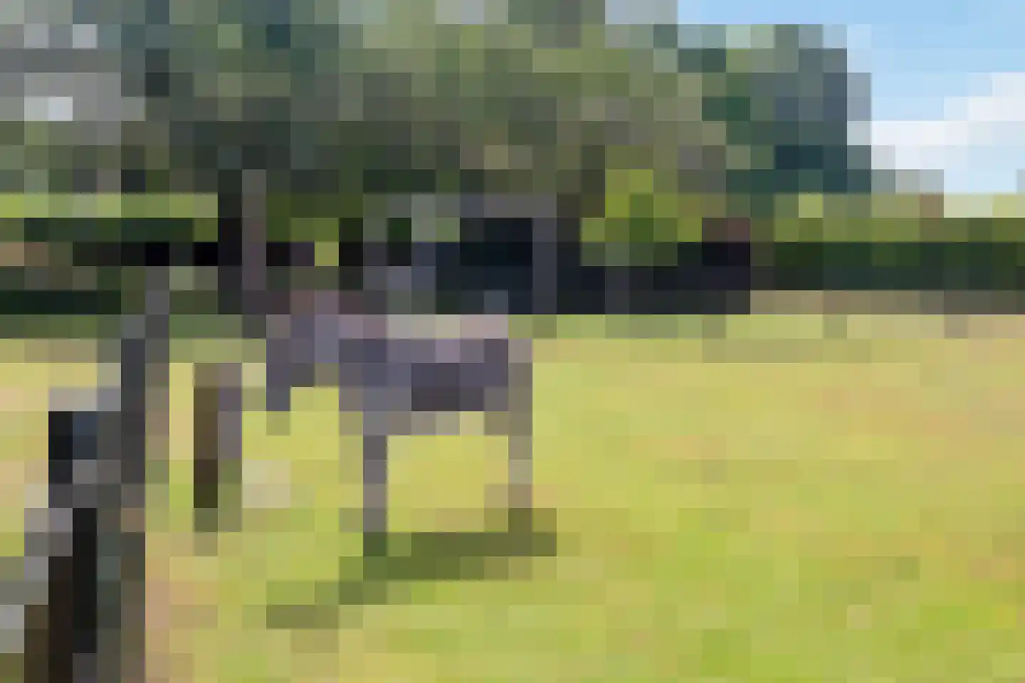 Looieind 30 Erp thumbnail 79