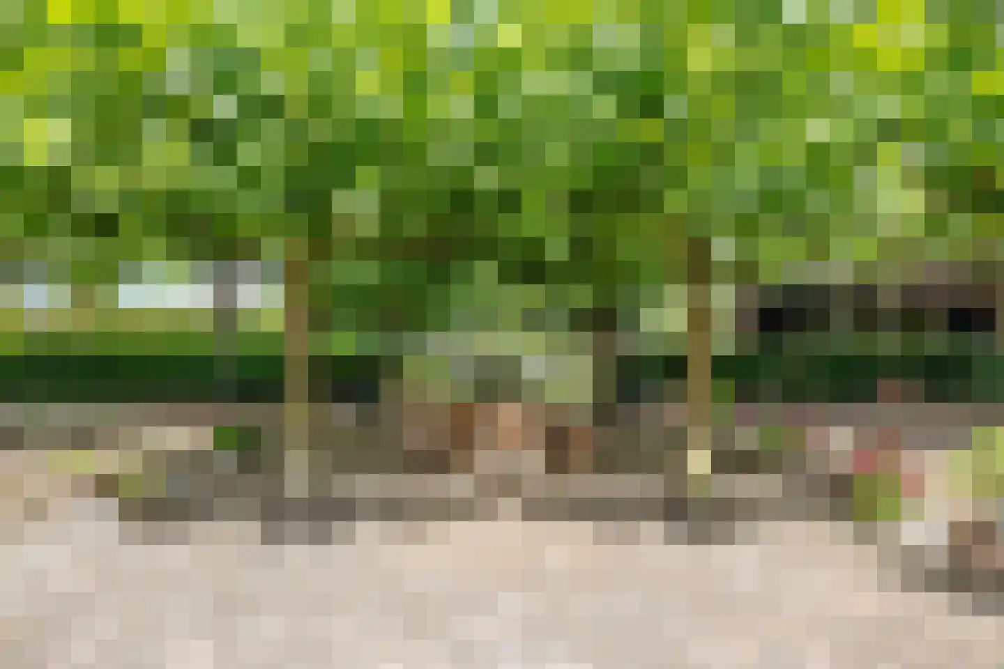 Looieind 30 Erp thumbnail 80