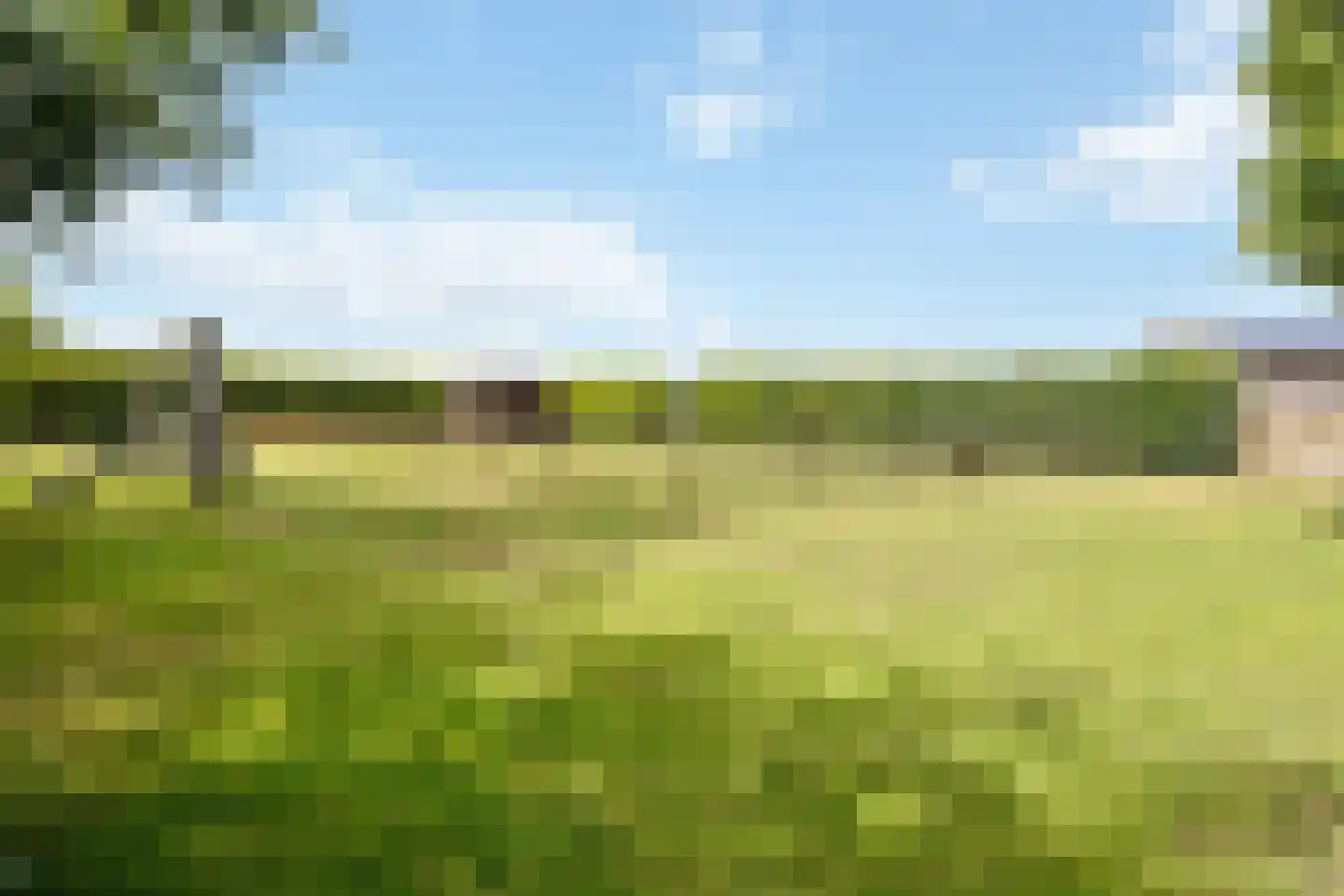 Looieind 30 Erp thumbnail 81