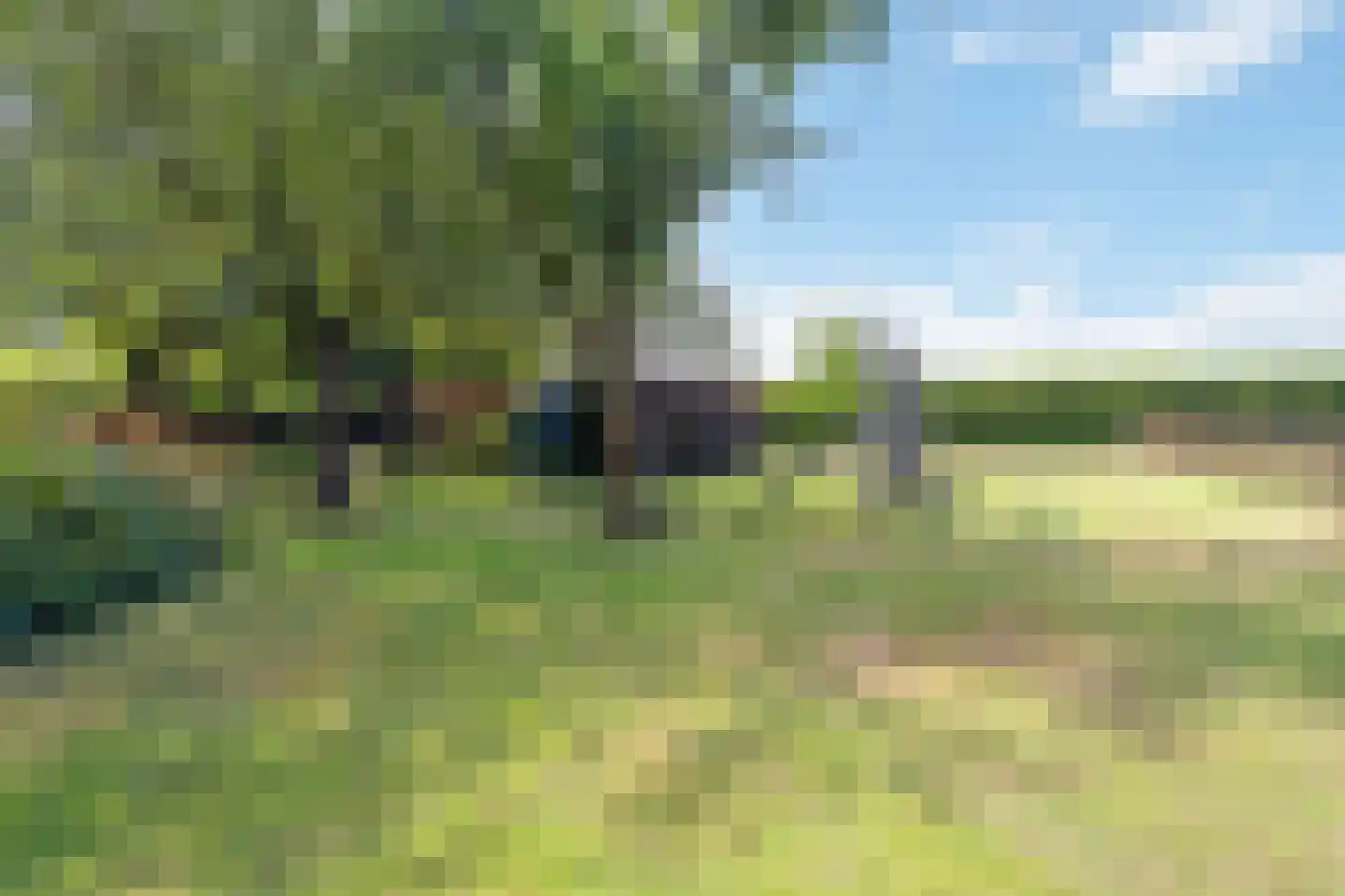 Looieind 30 Erp thumbnail 82