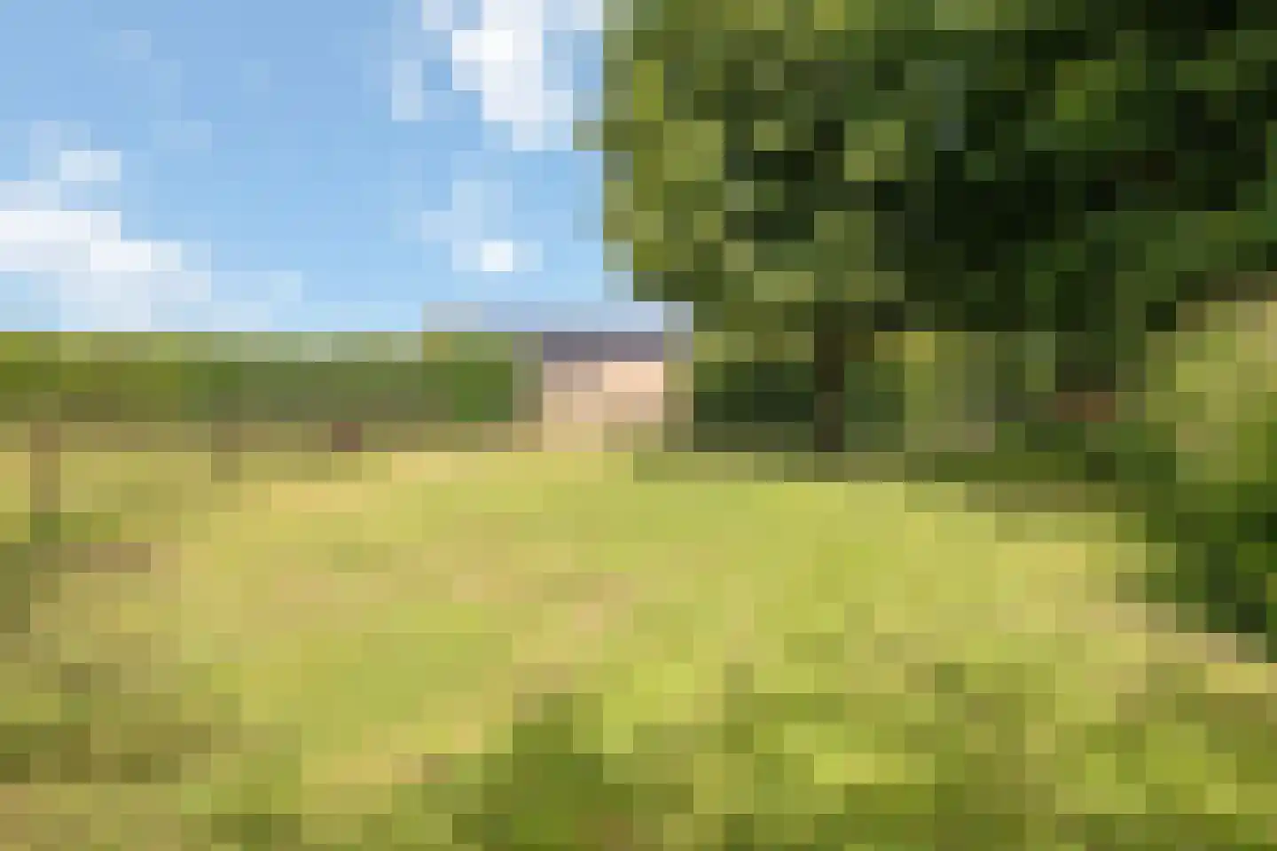Looieind 30 Erp thumbnail 83