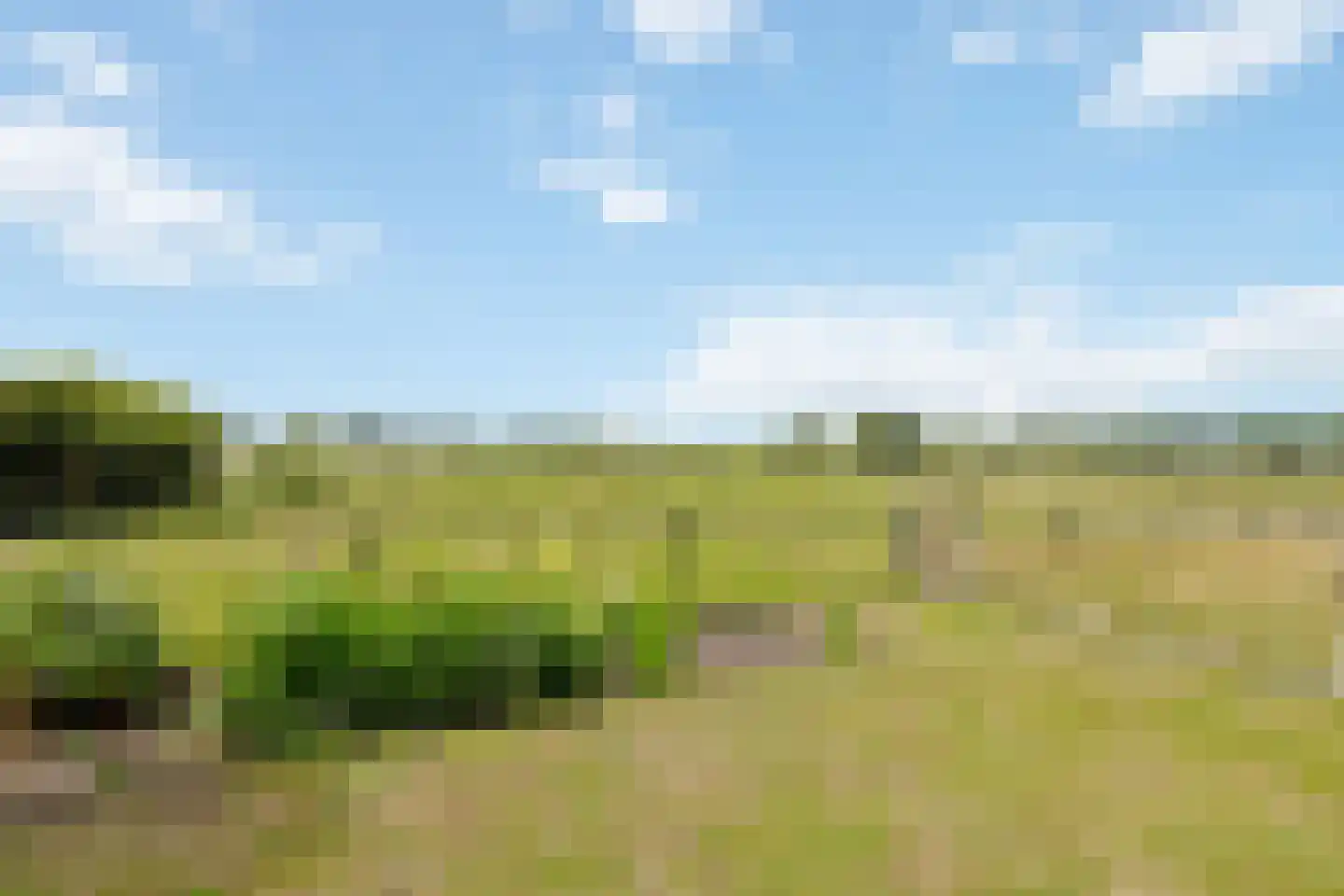 Looieind 30 Erp thumbnail 86