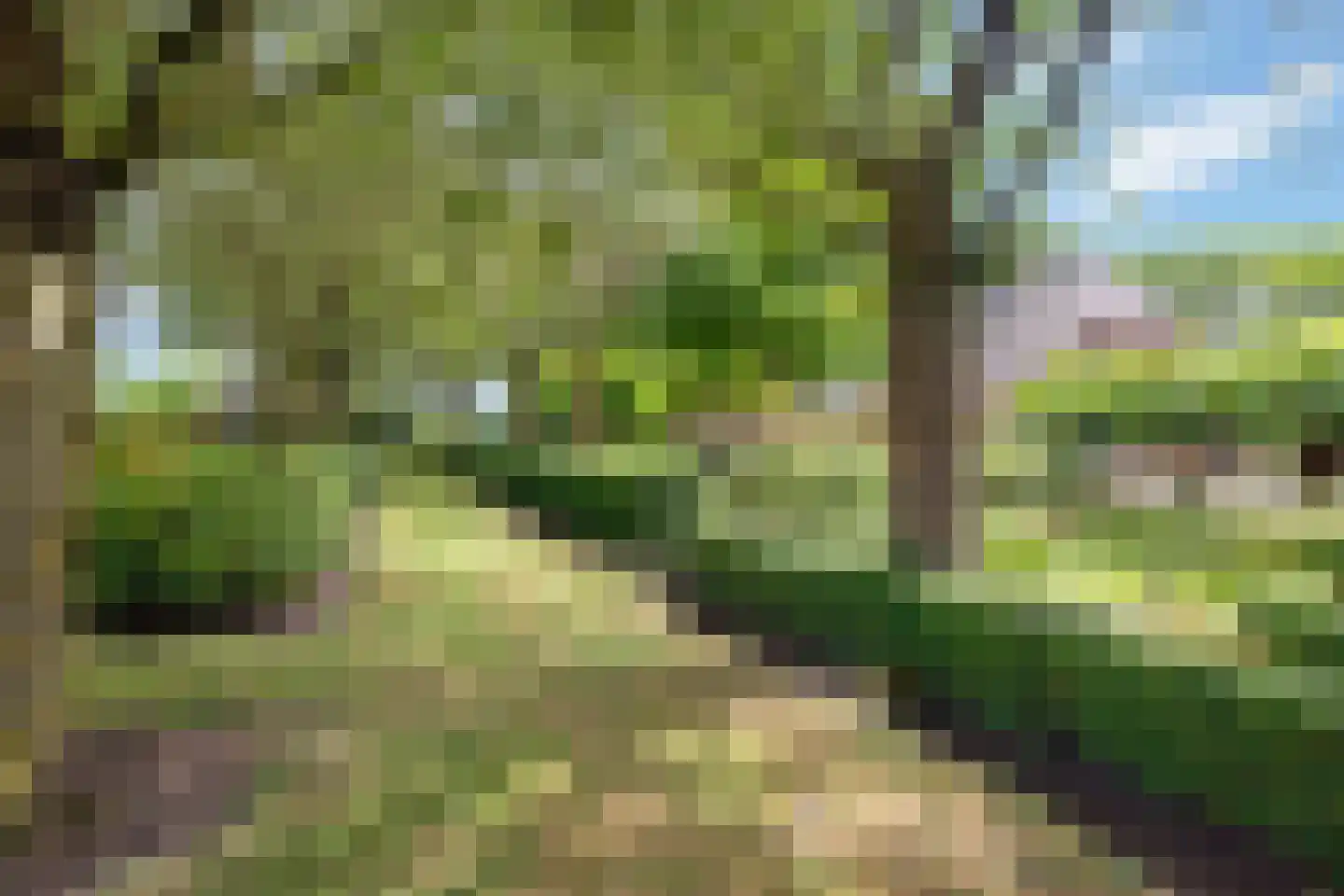 Looieind 30 Erp thumbnail 88