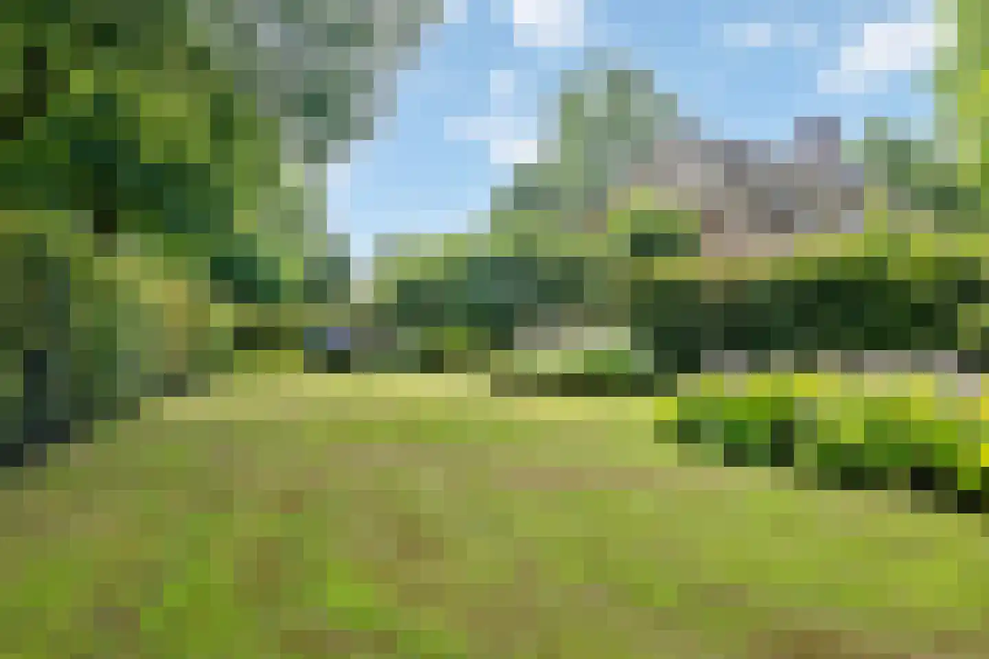 Looieind 30 Erp thumbnail 9