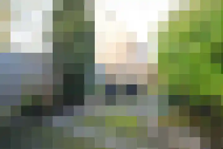 Looierij 1 Alkmaar thumbnail 11