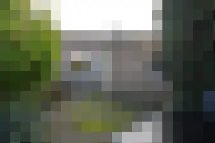 Looierij 1 Alkmaar thumbnail 12