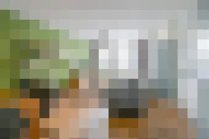 Looierij 1 Alkmaar thumbnail 14