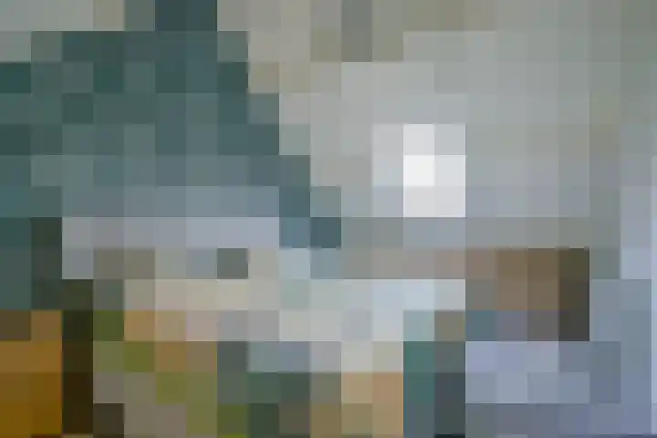 Looierij 1 Alkmaar thumbnail 23