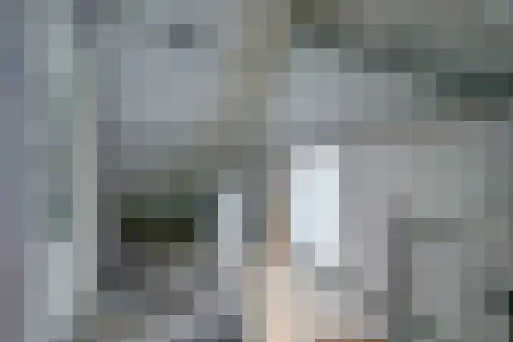 Looierij 1 Alkmaar thumbnail 25
