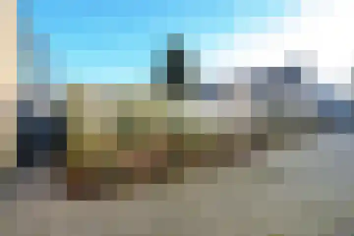 Looierij 1 Alkmaar thumbnail 31