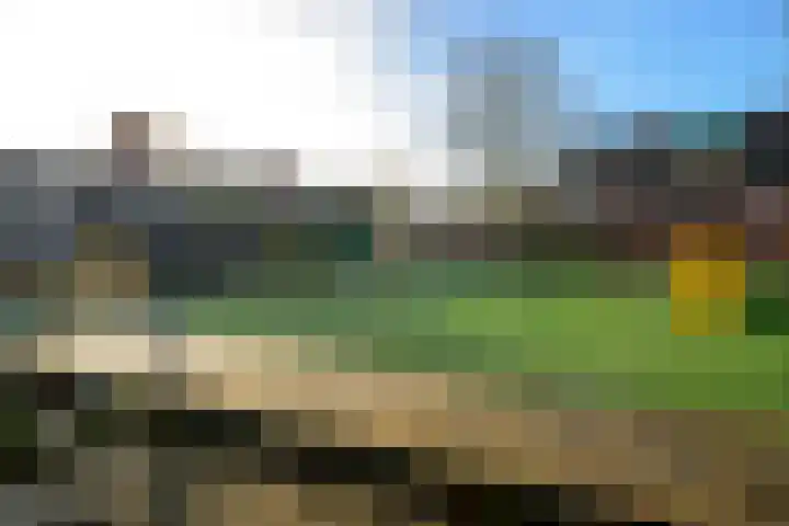 Looierij 1 Alkmaar thumbnail 33