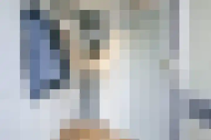Looierij 1 Alkmaar thumbnail 4