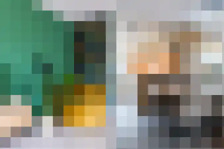 Looierij 14 Oisterwijk thumbnail 12