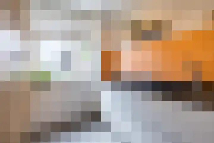 Looierij 14 Oisterwijk thumbnail 13