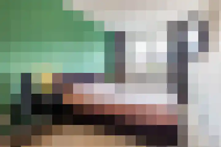Looierij 14 Oisterwijk thumbnail 16