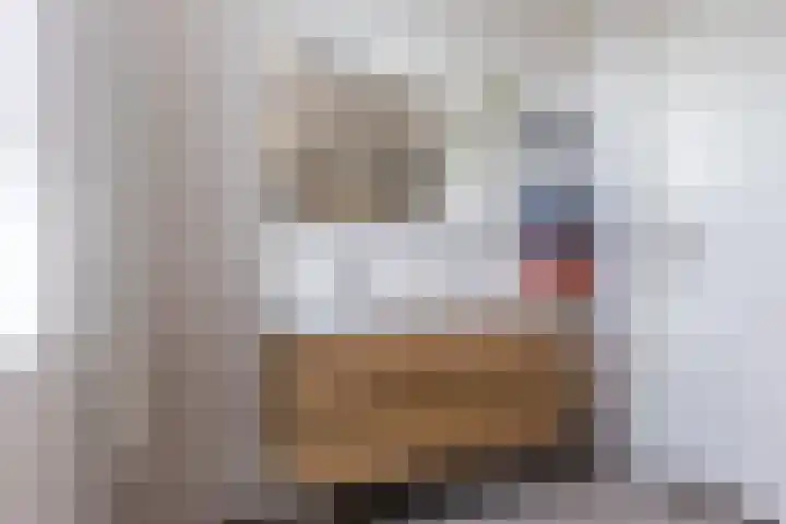 Looierij 14 Oisterwijk thumbnail 19