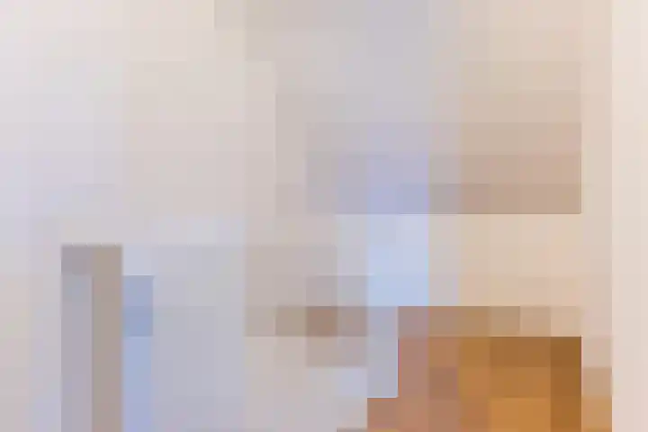 Looierij 14 Oisterwijk thumbnail 21