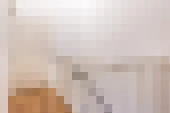 Looierij 14 Oisterwijk thumbnail 22