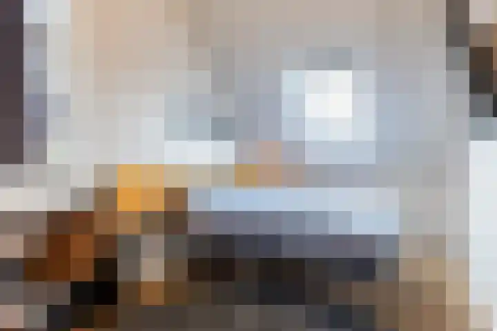 Looierij 14 Oisterwijk thumbnail 23