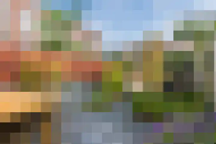 Looierij 14 Oisterwijk thumbnail 25