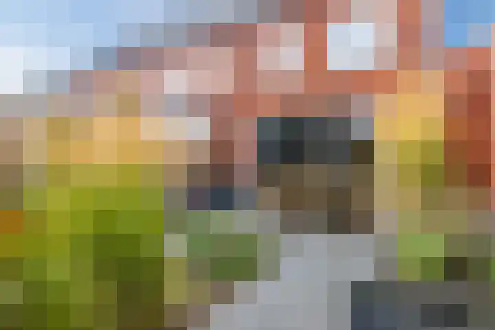 Looierij 14 Oisterwijk thumbnail 5