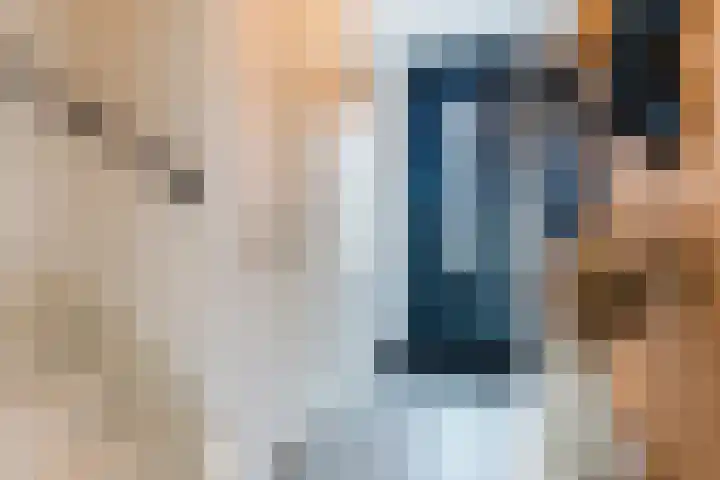 Looierij 14 Oisterwijk thumbnail 7