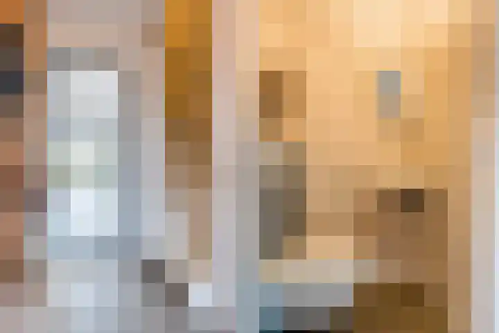 Looierij 14 Oisterwijk thumbnail 8