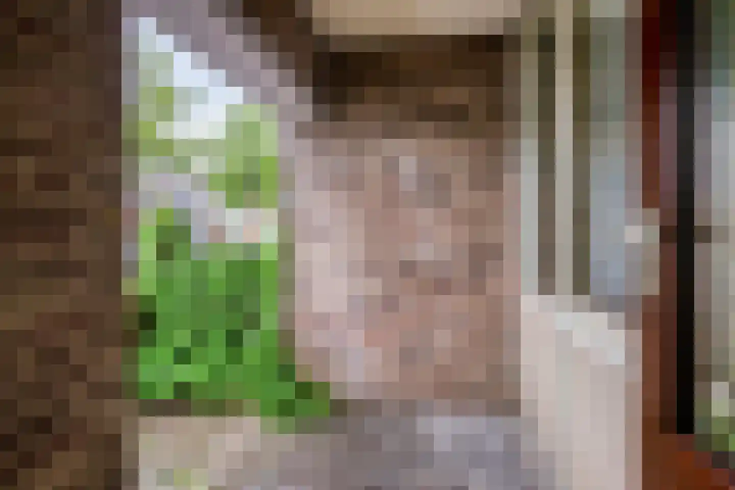 Looierij 19 Meppel thumbnail 19