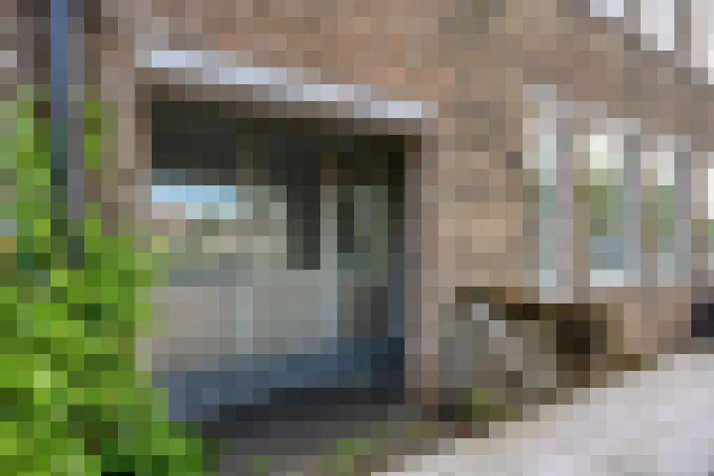 Looierij 19 Meppel thumbnail 23
