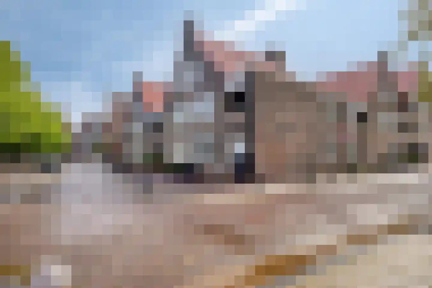 Looierij 19 Meppel thumbnail 24