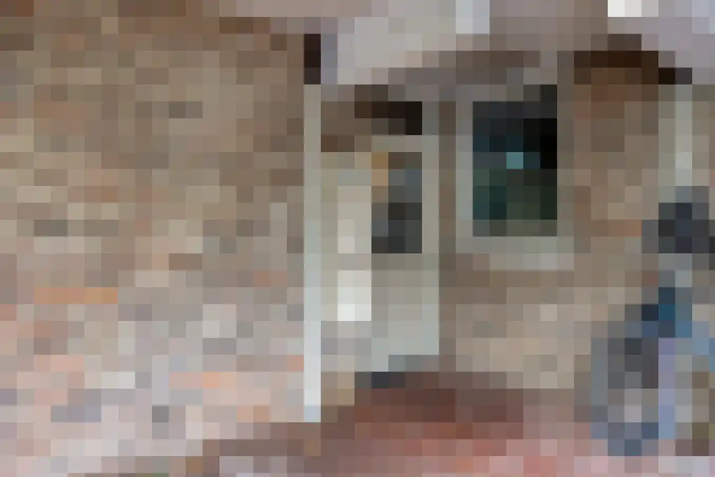 Looierij 19 Meppel thumbnail 6