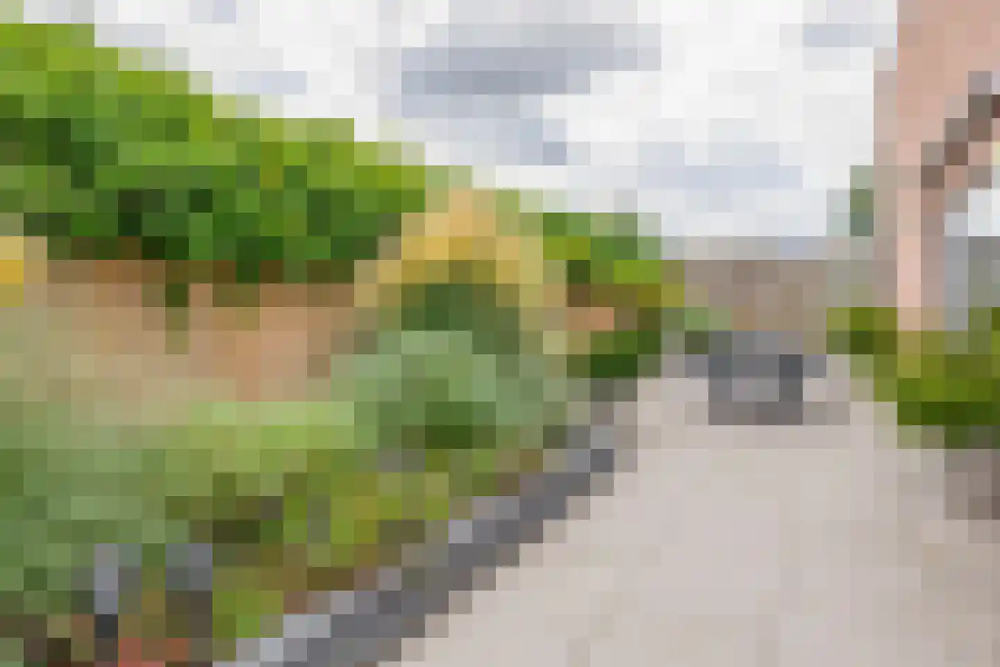 Looierij 2 Zevenbergen thumbnail 27