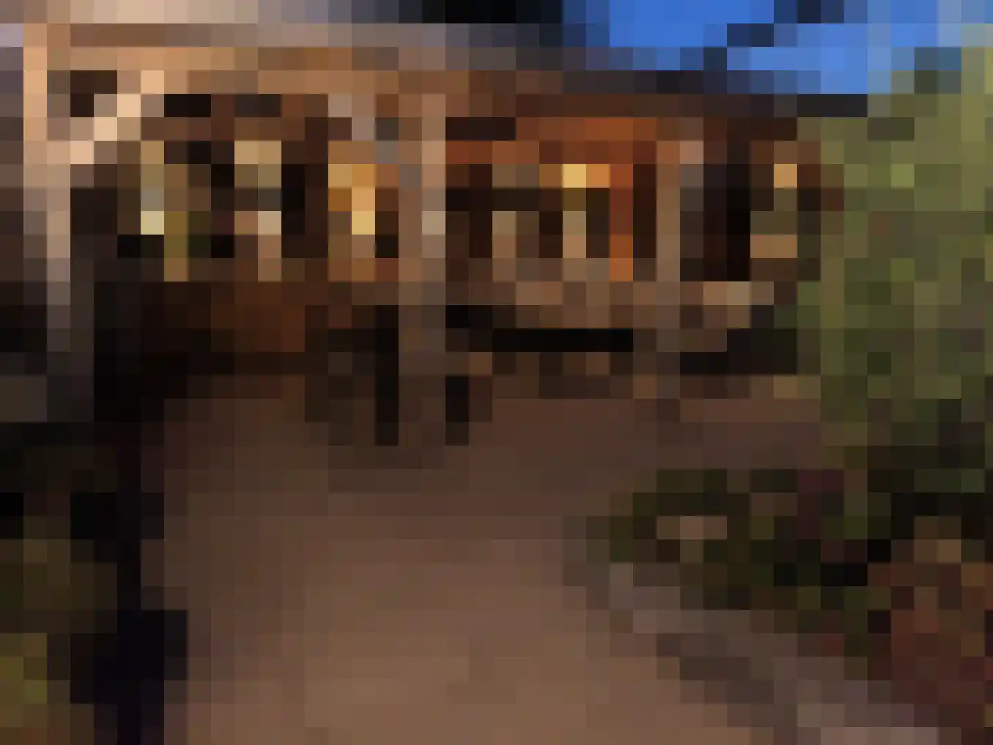 Looierij 2 Zevenbergen thumbnail 29