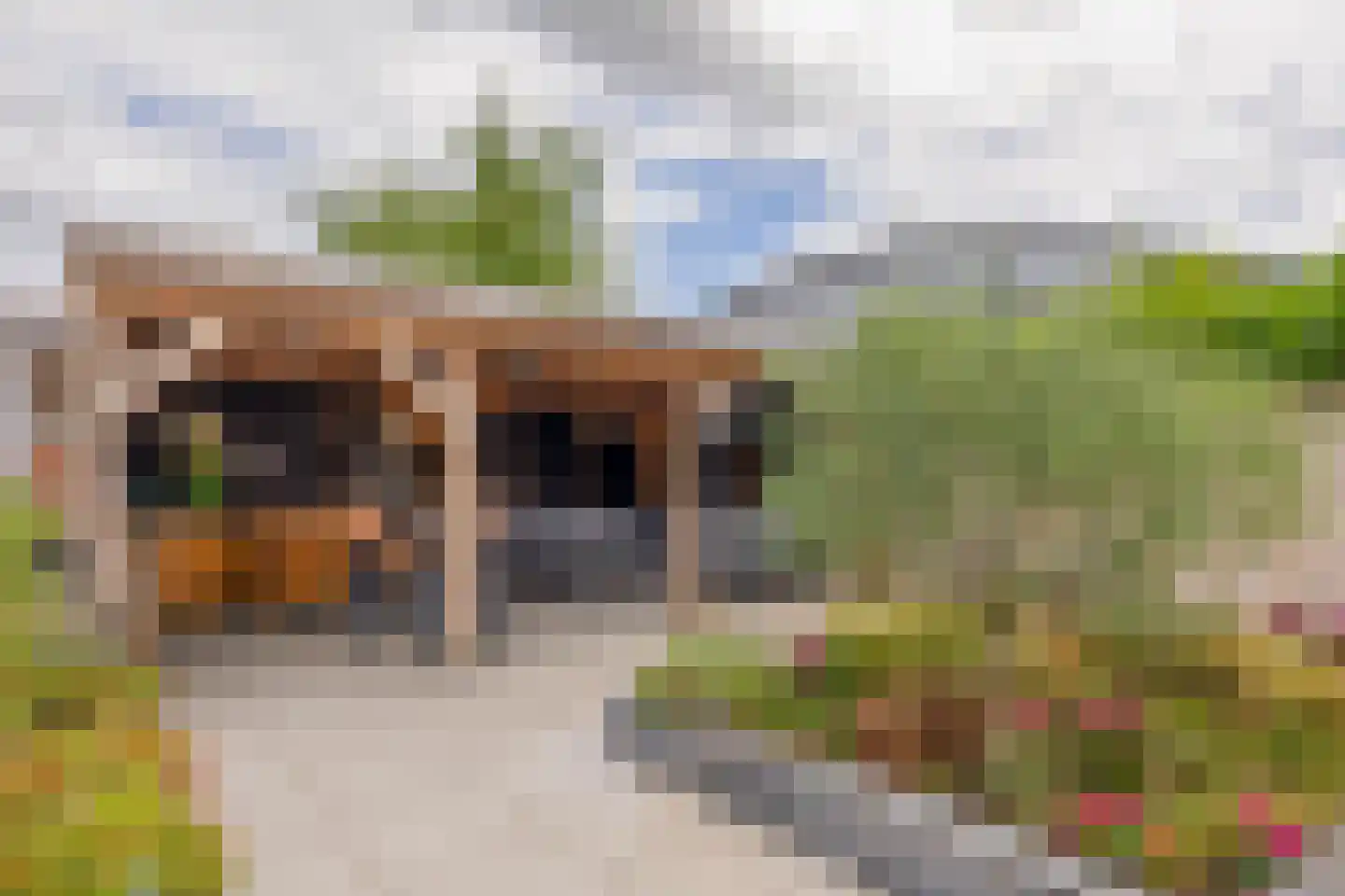 Looierij 2 Zevenbergen thumbnail 30