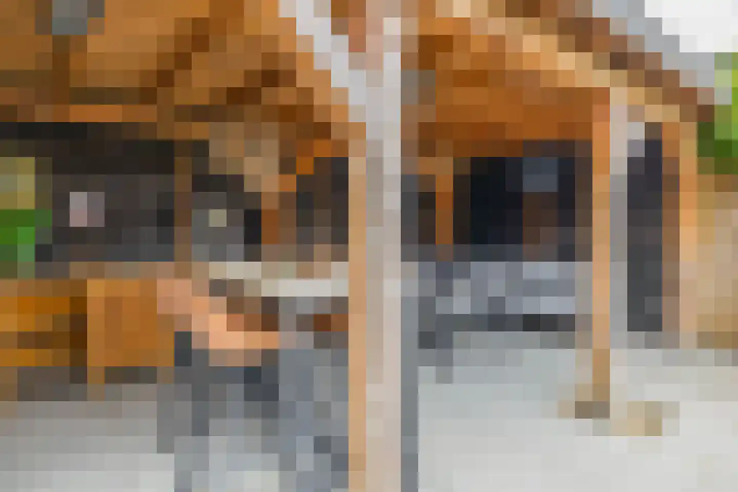 Looierij 2 Zevenbergen thumbnail 31