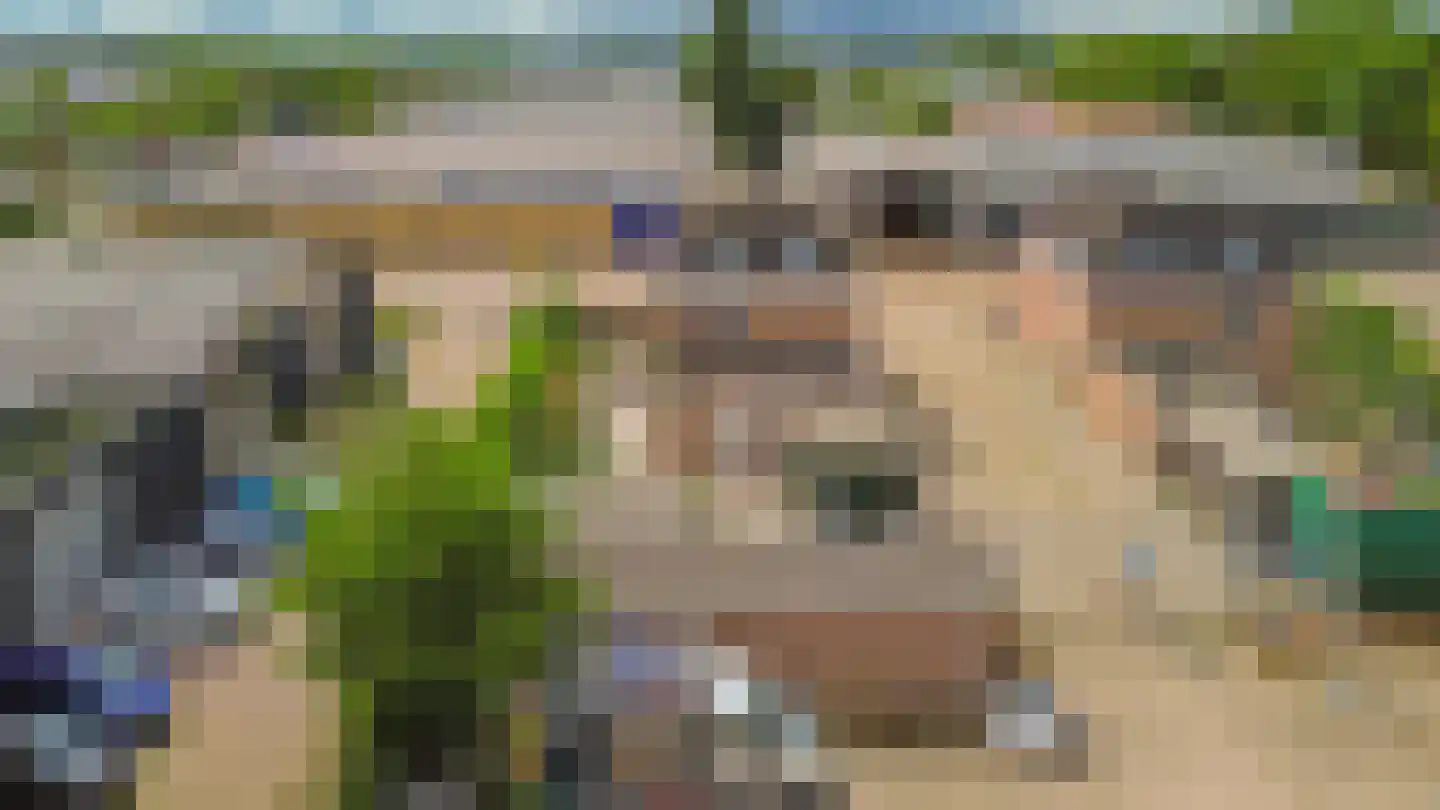 Looierij 2 Zevenbergen thumbnail 34