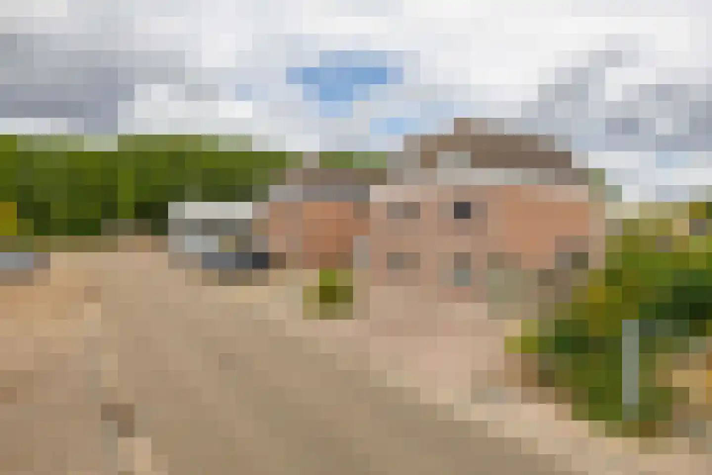 Looierij 2 Zevenbergen thumbnail 36