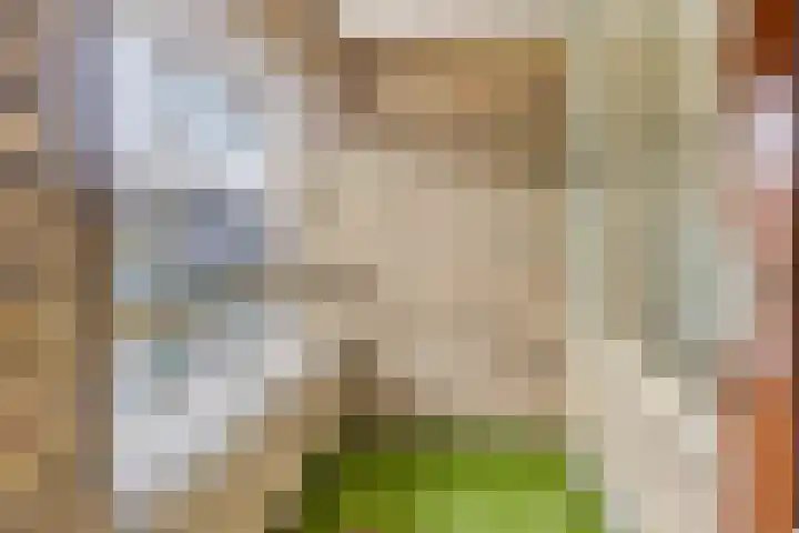 Looierij 27 Meppel thumbnail 18