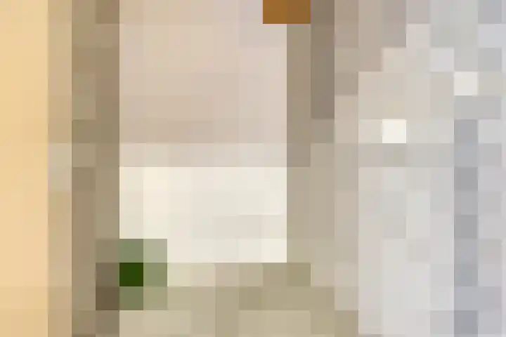Looierij 27 Meppel thumbnail 21