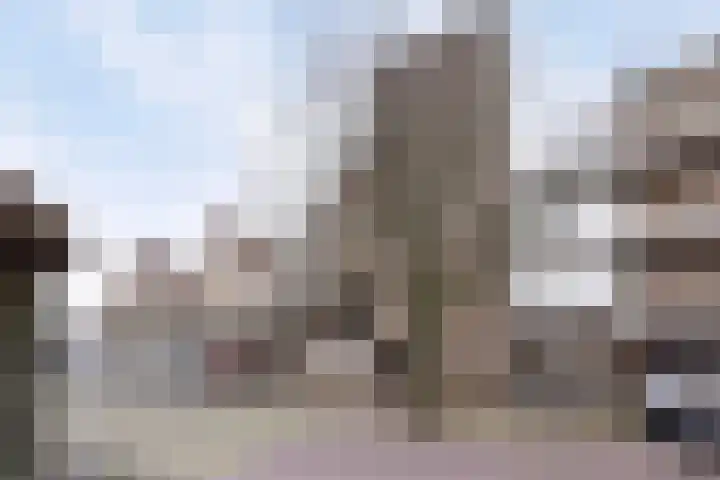 Looierij 27 Meppel thumbnail 25